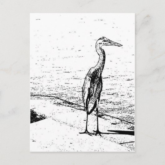 Heron In Ink Postkarte (Vorderseite)