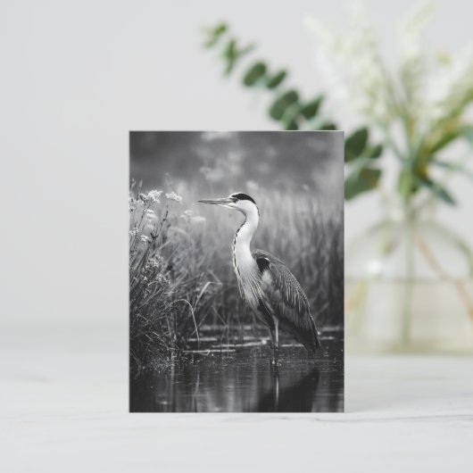 Heron in Marsch Schwarz und Weiß Postkarte (Stehend Vorderseite)
