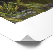 Heron in Marsh Poster (Ecke)