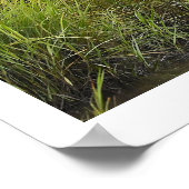 Heron in Marsh Poster (Ecke)