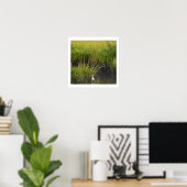 Heron in Marsh Poster (Heimbüro)