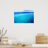 Heron Island Reef Poster (Küche)