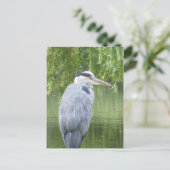 Heron nah up Postcard Postkarte (Stehend Vorderseite)
