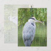 Heron nah up Postcard Postkarte (Vorne/Hinten)