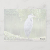 Heron nah up Postcard Postkarte (Rückseite)