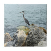 Heron On Rocks At The Beach Fliese (Vorderseite)