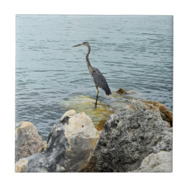 Heron On Rocks At The Beach Fliese