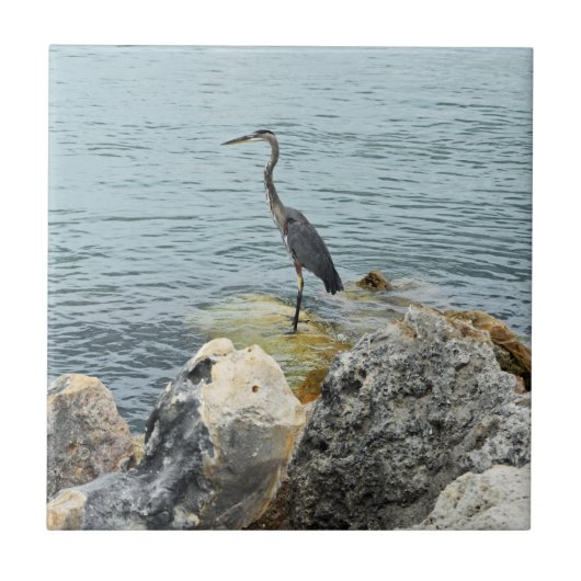 Heron On Rocks At The Beach Fliese (Vorderseite)
