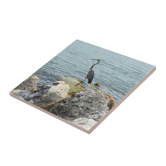 Heron On Rocks At The Beach Fliese (Seite)