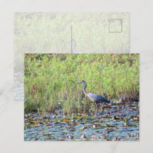 Heron P640 Postkarte