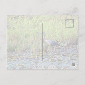 Heron P640 Postkarte (Rückseite)