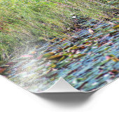 Heron P6450 Fotodruck (Ecke)