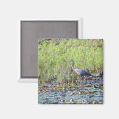 Heron P6450 Magnet (Vorderseite/Rückseite)