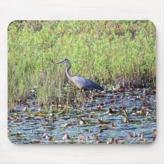 Heron P6450 Mousepad (Vorne)