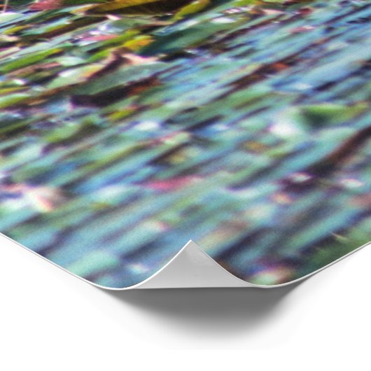 Heron P6450 Poster (Ecke)