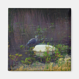 Heron P9687 Magnet