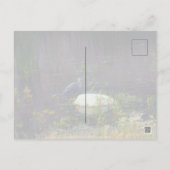 Heron P9687 Postkarte (Rückseite)