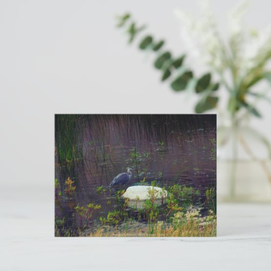 Heron P9687 Postkarte (Stehend Vorderseite)