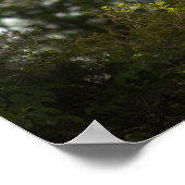 Heron Poster (Ecke)
