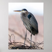 Heron Poster (Vorne)
