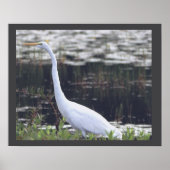 Heron Poster (Vorne)