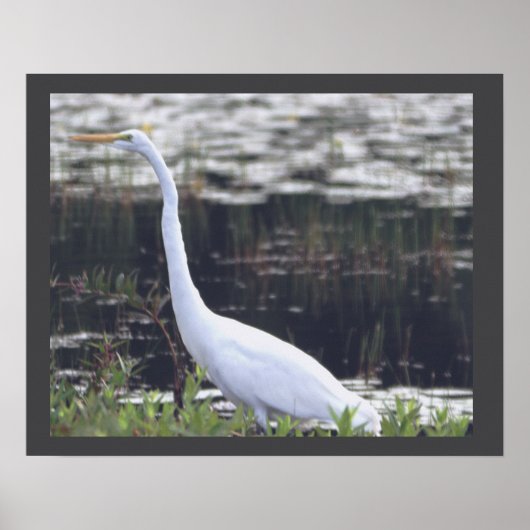 Heron Poster (Vorne)