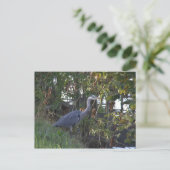 Heron Postkarte (Stehend Vorderseite)