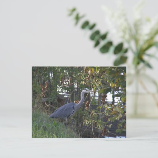 Heron Postkarte (Stehend Vorderseite)