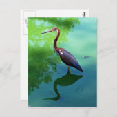 Heron Postkarte (Vorne/Hinten)