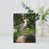 Heron Postkarte (Stehend Vorderseite)