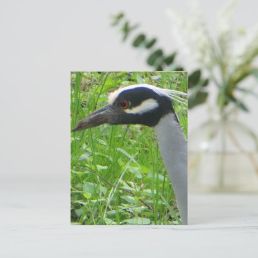 Heron Profil Postkarte (Stehend Vorderseite)
