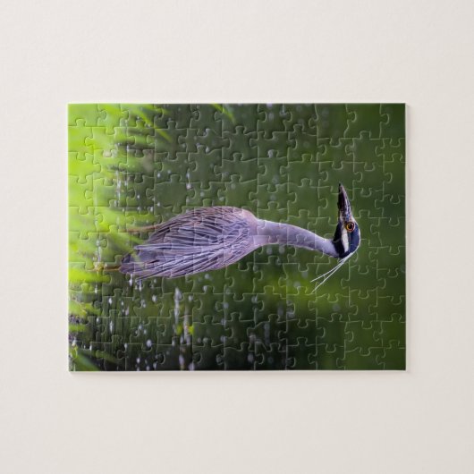 Heron Puzzle (Horizontal)