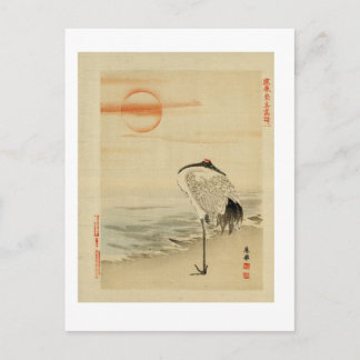 Heron schlafend Postcard Postkarte