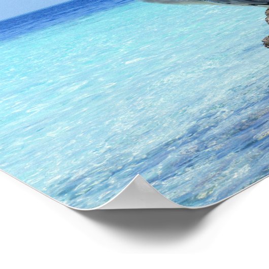 Heron Sea Bird Poster (Ecke)