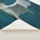 HERON SHERPADECKE (3/4)