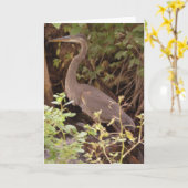 Heron sitzt unter einem Baum am Fluss Karte (Gelbe Blume)