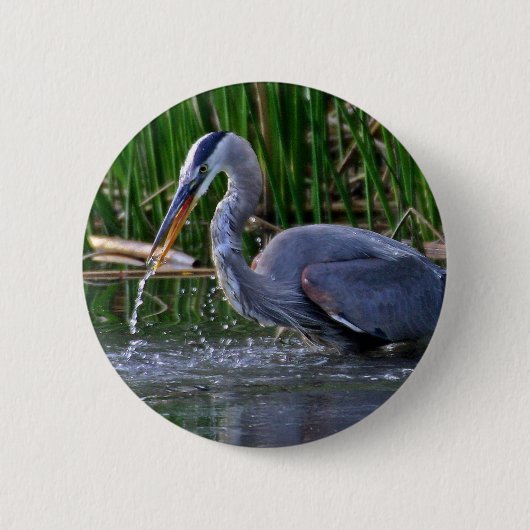 Heron Splash Button (Vorderseite)