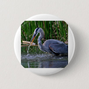Heron Splash Button