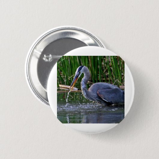 Heron Splash Button (Vorne & Hinten)