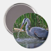 Heron Splash Magnet (Vorderseite/Rückseite)