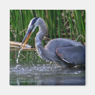 Heron Splash Magnet