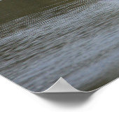 Heron Spreading Wings Foto Poster (Ecke)