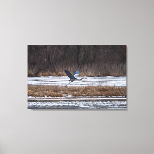Heron Start Leinwanddruck (Vorderseite)