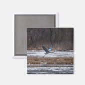 Heron Start Magnet (Vorderseite/Rückseite)