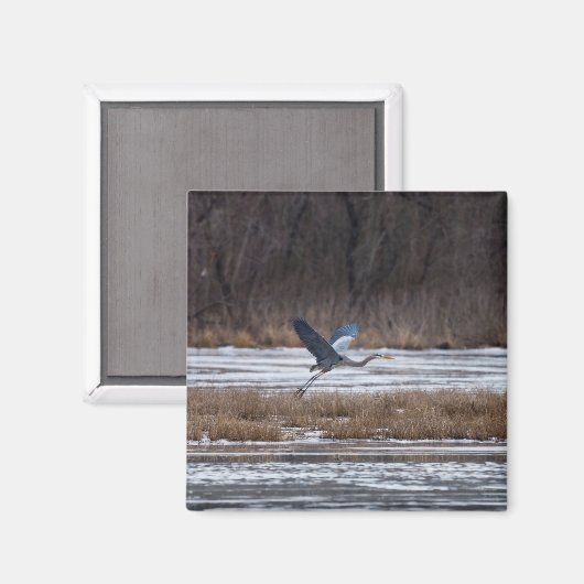 Heron Start Magnet (Vorderseite/Rückseite)