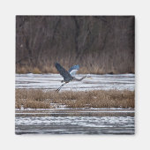 Heron Start Magnet (Vorne)