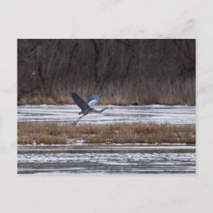 Heron Start Postkarte