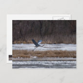Heron Start Postkarte (Vorne/Hinten)