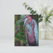 Heron Stehend allein 2 Postkarte (Stehend Vorderseite)
