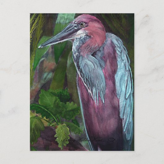 Heron Stehend allein 2 Postkarte (Vorderseite)